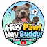 16sa1xiRN1E-channel-avatar-Hey Paw! Hey Buddy!