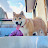 柴犬おいも君