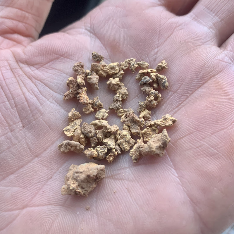 Damage’s Gold  Prospecting