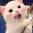 youtube avatar