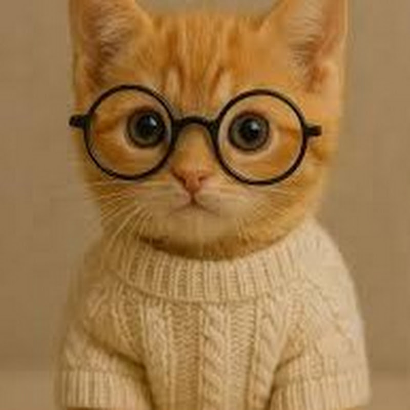 Hire Duncats — Pets & Animals YouTube creator for sponsorships
