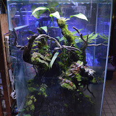 アクアリウムショップ　アワジヤアイコン画像