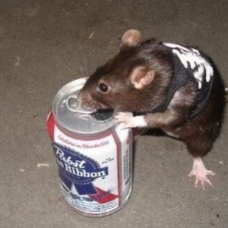 GreasyCreature