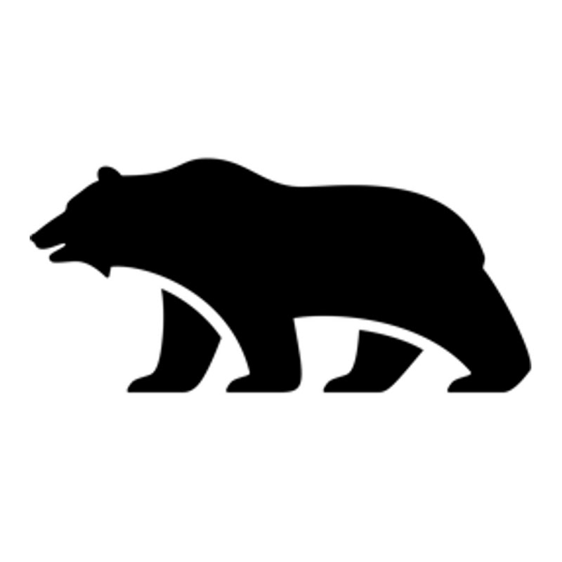 Lucid Motors icon