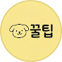 개꿀팁