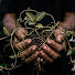 77AB2jCyr5I-channel-avatar-Stanley’s Wild Acre