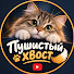 v6Q2BWBYAck-channel-avatar-Пушистый хвост
