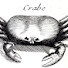 -3MyKIaZJjE-channel-avatar-Imitation Crabe