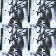 thumbnail img1x1
