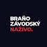 rR3d7NniOzo-channel-avatar-Braňo Závodský Naživo