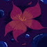 d4aDpcXTedk-channel-avatar-Brio