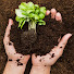 BKAyA0-Muso-channel-avatar-Love Gardening