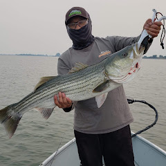VL Fishing