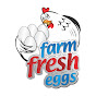 Farm Fresh Eggs logo