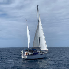 Vagabond Voyages net worth