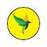 gxY0pXqw5TU-channel-avatar-JamRock Aviation