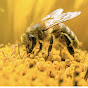Beekeeping logo