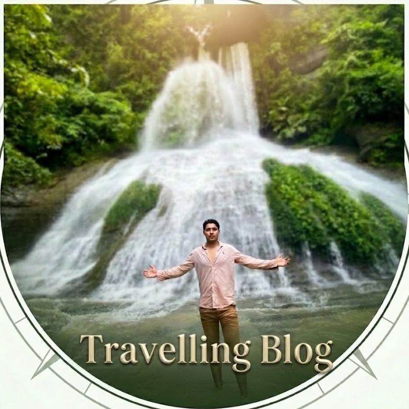 TRAVELING VLOG profile avatar
