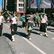 Native Voices Turtle Island TV