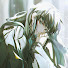 CQpjsGNX2bo-channel-avatar-• Reij