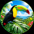 5kcDyrrPg_U-channel-avatar-Amanecer Aviar Zen