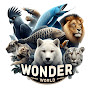 Wonder World logo