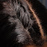mu1EPm7-TvM-channel-avatar-Perfect Line Swiss