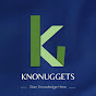 Knowledge Nuggets logo