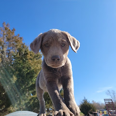 Thumbnail of related channel