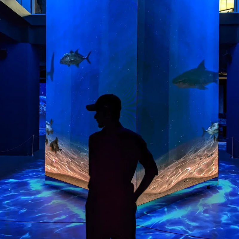 Natural Short Memory