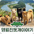 C3JIRGMFKz0-channel-avatar-영월 진돗개이야기 Yeongwol Jindo dog Story