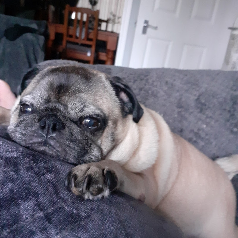 charlie