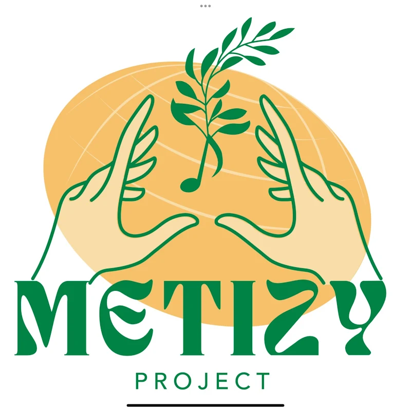 MeTizy Project