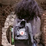 8Qfis2fVu8M-channel-avatar-Rose Shimmerling