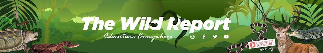 The Wild Report यूट्यूब चैनल अवतार