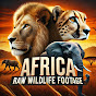 Africa: Raw Wildlife Footage logo