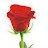 @redemption9488