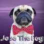 Jose The Pug logo