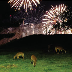 Home is Where - Topic