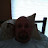 @jimmiegrant3129 Avatar