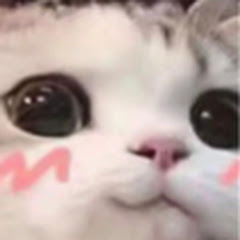 MySpark avatar