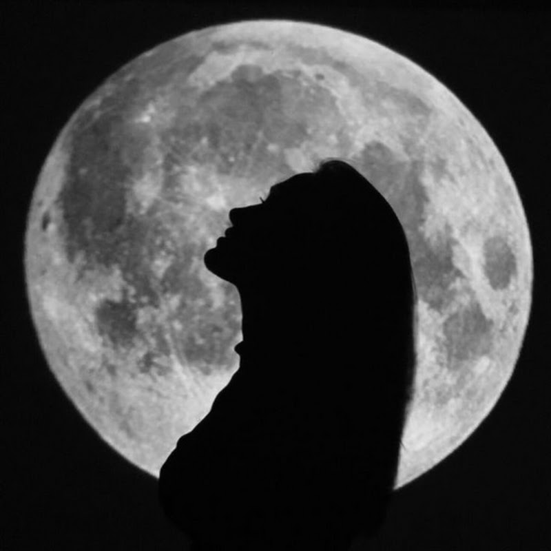 𝔉𝔢𝔡𝔢𝔯𝔦𝔠𝔞 ♡