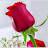 @ASHIK-Z3p