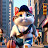Cat Cute Cat
