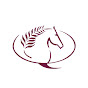 Qatar Equestrian Federation & Modern Pentathlon 