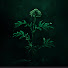 r_AIwfpzDXM-channel-avatar-Emerald Hemlock