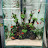 @Livingwatersaquatics Avatar