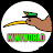 Kiwi world