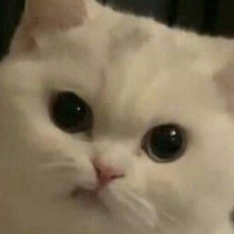 김민성