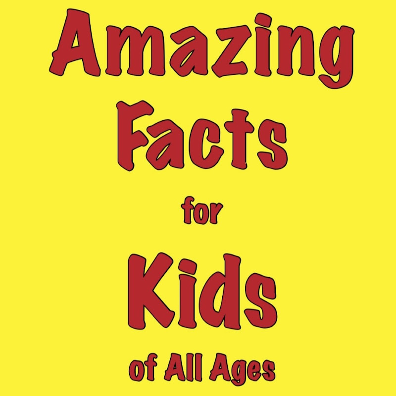 O2 Facts